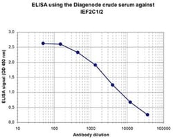 AGO1/2 Rabbit anti-Human, Polyclonal, Novus Biologicals 25 &mu;g | Buy Online | Novus Biologicals | Fisher Scientific